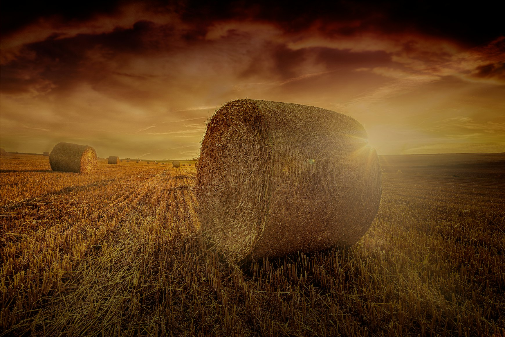 Farm field